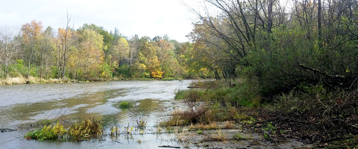 Olentangy in the fall